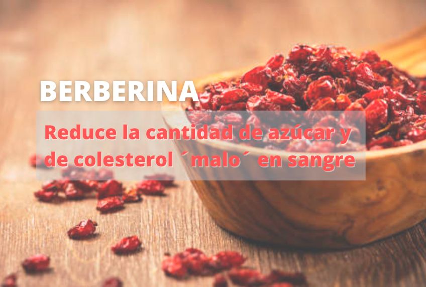 En este momento estás viendo La berberina reduce la cantidad de azúcar y colesterol ‘malo’ en sangre