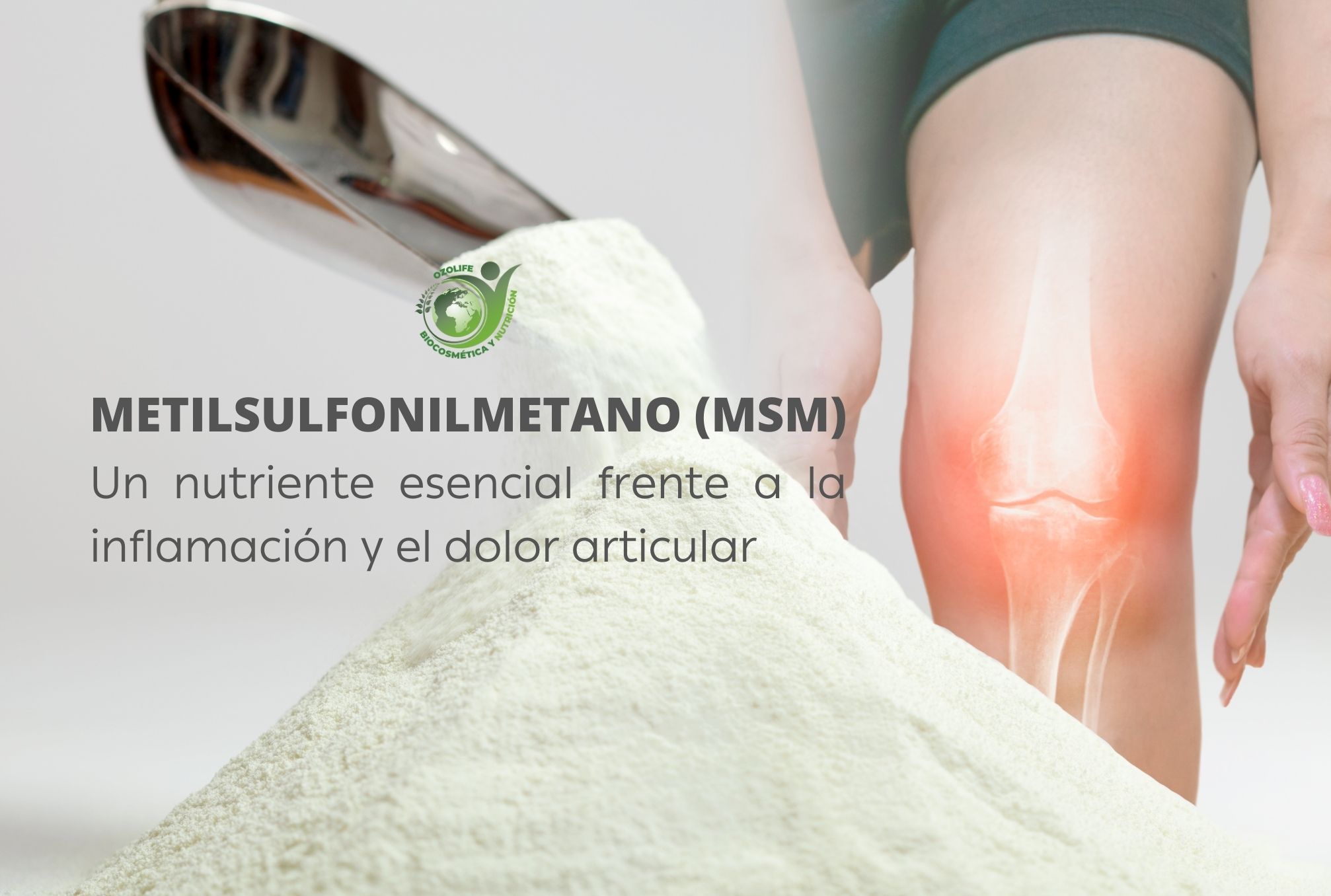 En este momento estás viendo Metilsulfonilmetano (MSM), un nutriente esencial frente a la inflamación y el dolor articular