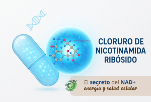 Lee más sobre el artículo Cloruro de Nicotinamida Ribósido: El secreto del NAD+ «energía y salud celular»